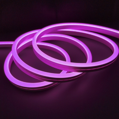 LED multicolor Flex Light Strip de neón IP65 12 voltios 24 voltios para la decoración
