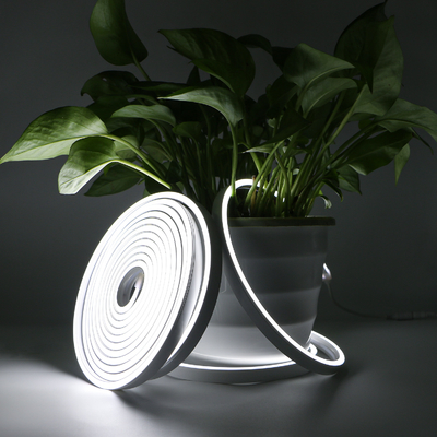 20×10m m LED Flex Light de neón, cuerda ligera de neón flexible de la prenda impermeable IP67