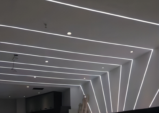 Tubo flexible 12×12m m del silicón del LED para el ODM de neón del OEM de las luces LED